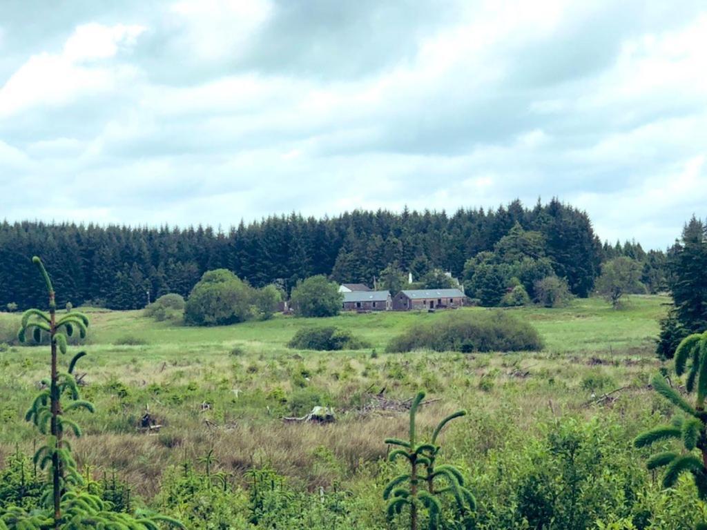 Maberry Cottage Bargrennan Eksteriør billede